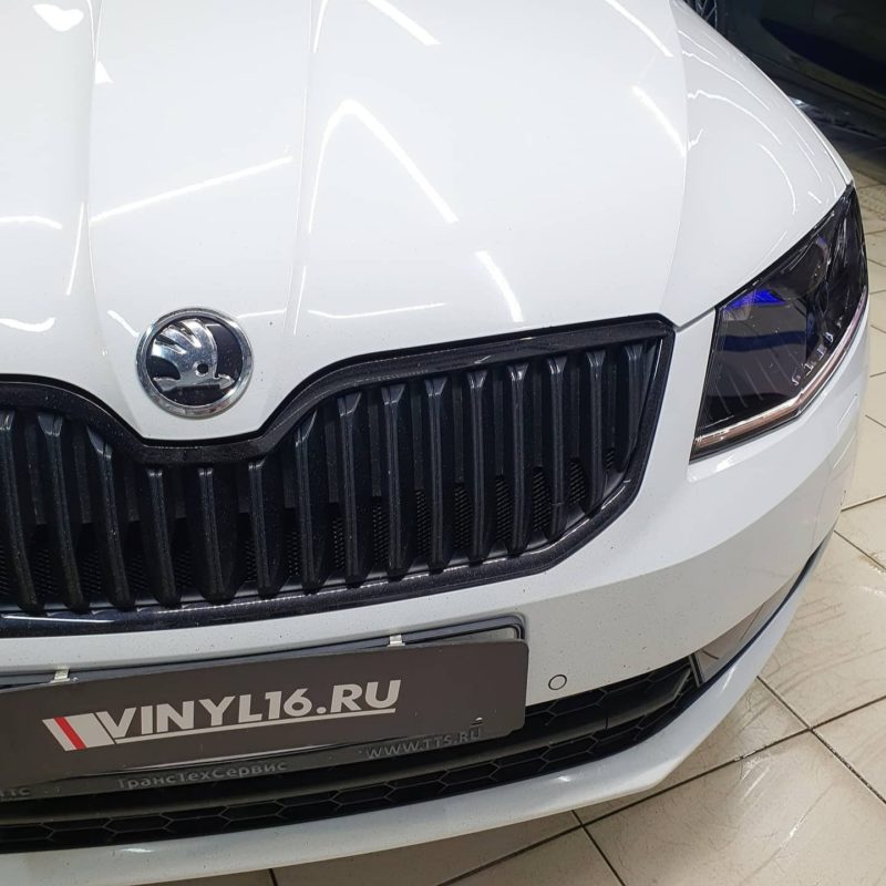 Ремонт Шкода Октавия (Skoda Octavia)